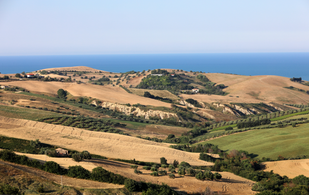 Immagine1 1024x645